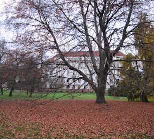 Mala Strana Vojanovy Sady
