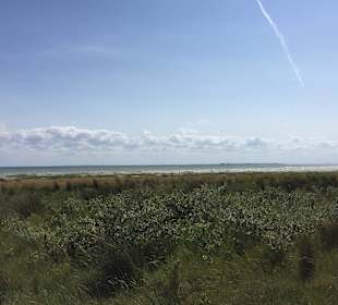 Blick von Erhöhung auf den Strand