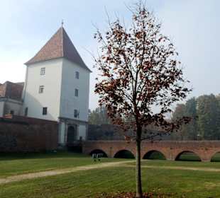Burg Nadasdy