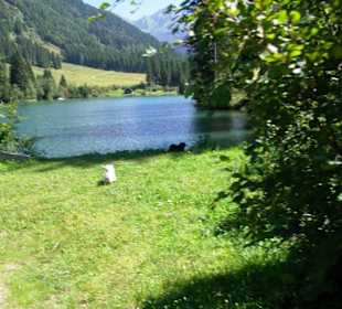 Der Grünsee