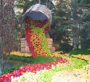 Wunderschöne Kulisse