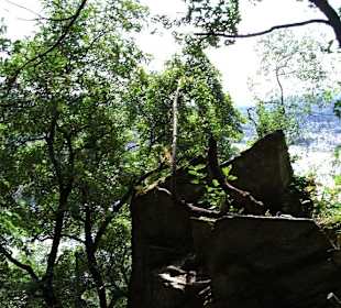 Den Aufstieg im Blick