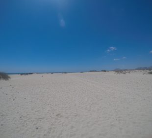 Naturpark Dünen von Corralejo