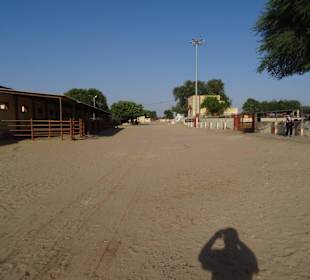 Auf dem Gelände der Kamelfarm