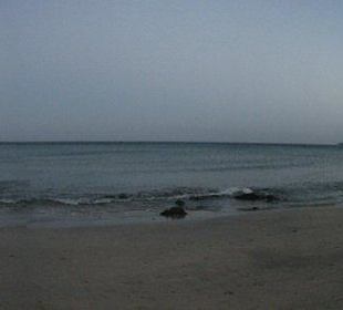 Panoramabild vom Strand vorm Taro Beach 