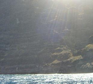 Unterwegs auf dem Meer