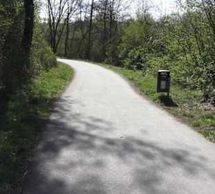 Sport- und Freizeitpark Markwasen