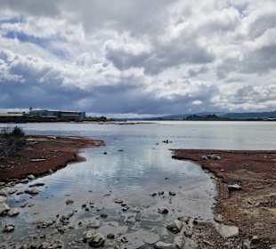 Geothermal Walking Track