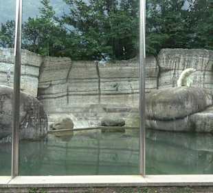 Tierpark Hellabrunn