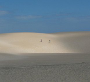 Die Dünen in Corralejo