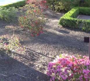 Real Jardín Botánico