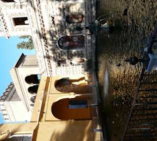 Dettaglio del giardino