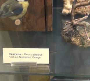 Naturkundemuseum