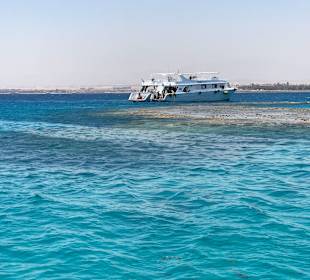 Schnorcheln Makadi Bay