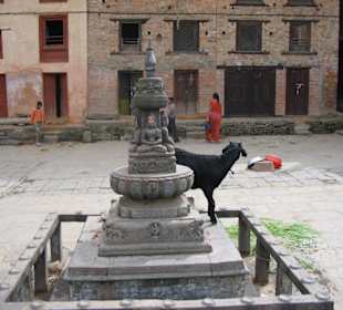 Stupa with goat
