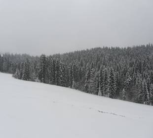 Widoki z Pasieka Express