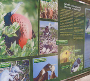 Erklärungstafeln zur Tierwelt (span.+engl.)