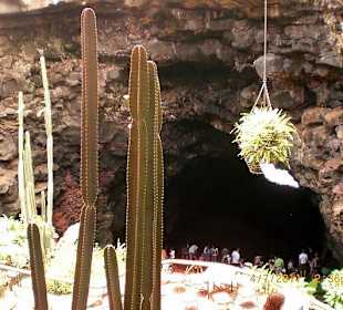 Blick auf die Höhle von oben