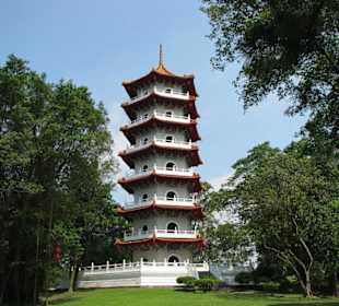 Pagode im Chinese Garden