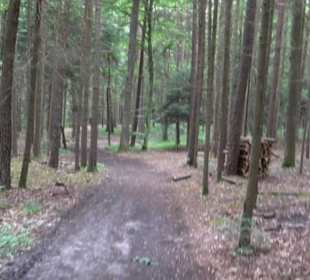 Wanderweg - Alter Steinbruch Pfaffenberg Runde