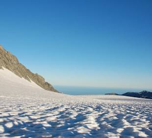 Fox Glacier