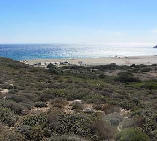 Prasonissi