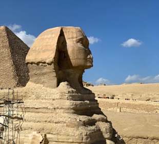 Die berühmte Sphinx