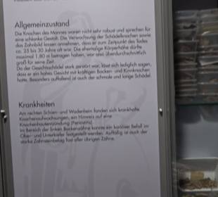 Museum Römer und Bajuwaren