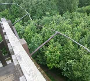 Blick vom Turm