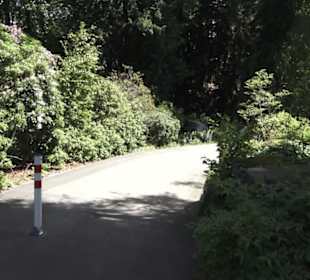 Botanischer Garten der Universität Zürich