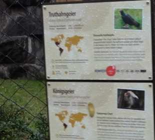 Tierpark 