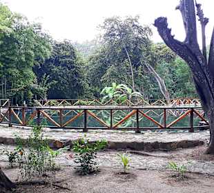 Laguna de agua sulfurosa