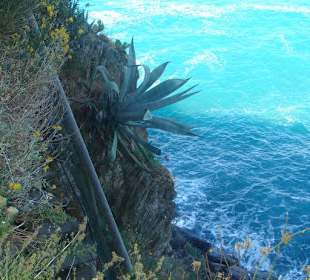 Der Liebesweg am Meer entlang