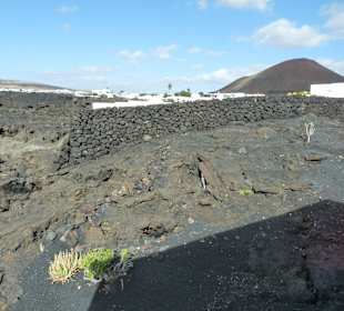 Fundacion Cesar Manrique