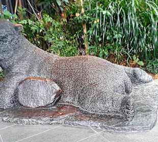 Singapur Zoo