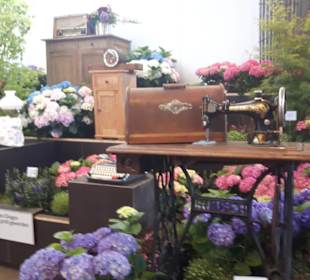 Buga Bundesgartenschau 2019