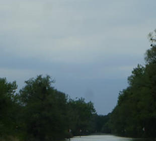 Fahrt mit dem Linienboot auf dem Alten Rhein