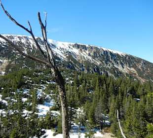 Karkonoski Park Narodowy