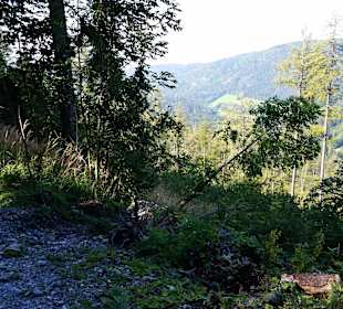 Langer Weg zum Schöckl