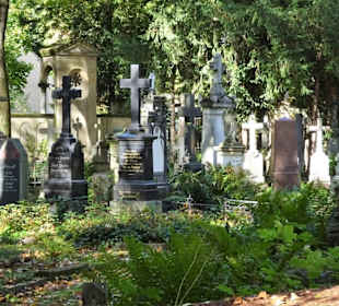 Rundgang über den Alten Friedhof in Bonn