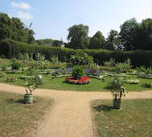 Sanssouci Schloss-/Schlossgartenimpression