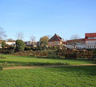 Magdalengarten Blick zu St. Michaelis