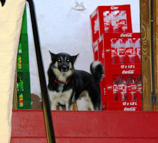 Ritteressen Das Original in Uffenheim