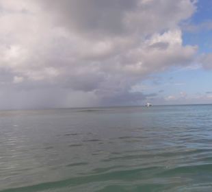 Playa del Gato