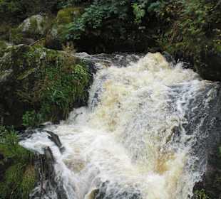 Triberger Wasserfall
