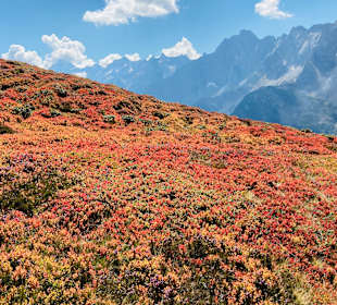 Wandern Stilluptal Mayrhofen