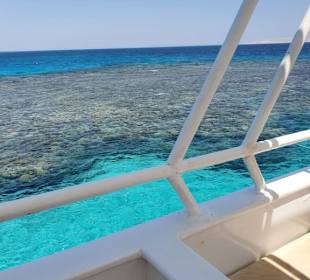 Traumhaftes Erlebnis Dank Mo