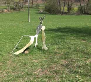 Waldkulturerbe Neuweiler Viehweide