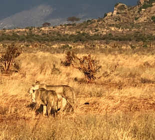 Tsavo West Nationalpark
