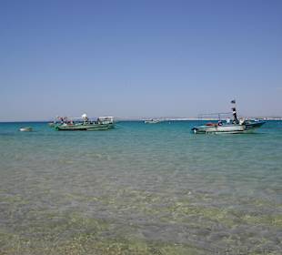 Fischer in der Bucht von Hammamet